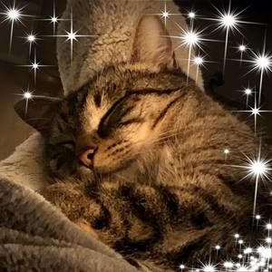 Meet your Posher, Joanne